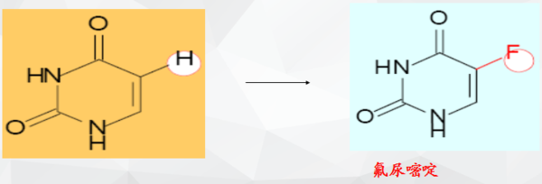 隻要在一起 视频截图