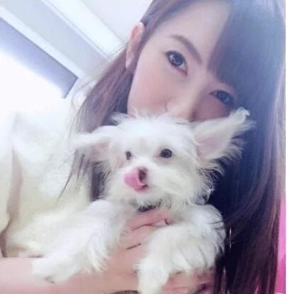 決鬥的人 视频截图