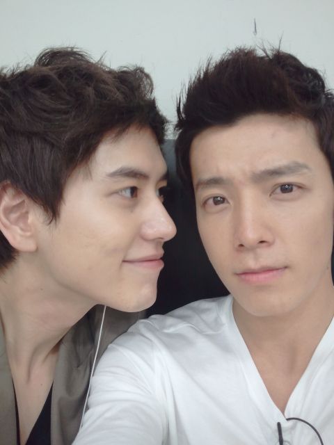 不死鳥 产品图片