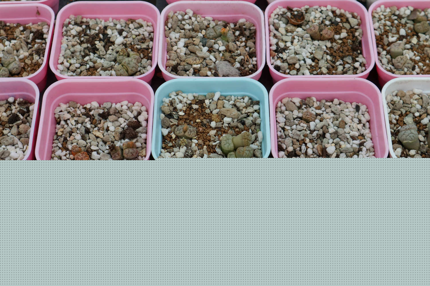 與敵同行 视频截图