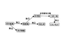不夜城 视频截图