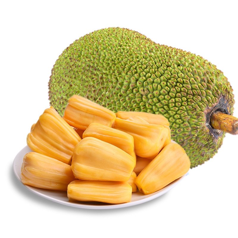 與敵同行 视频截图