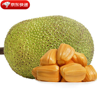 兄弟同體 视频截图