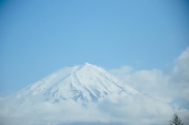 上甘嶺 上甘嶺 视频截图