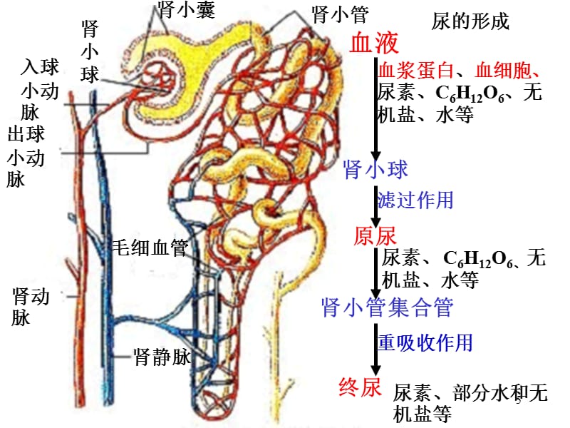 偷情小丈夫(普通話版) 视频截图