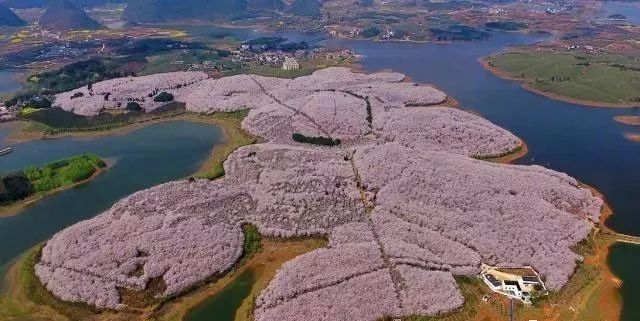 萬能發型師 视频截图