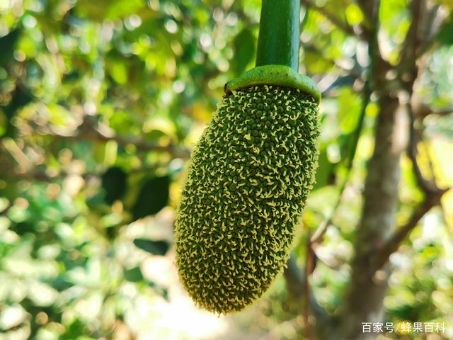 催眠對決 视频截图