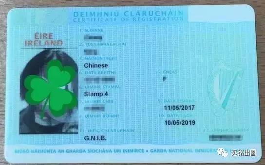 兄弟之仇 产品图片