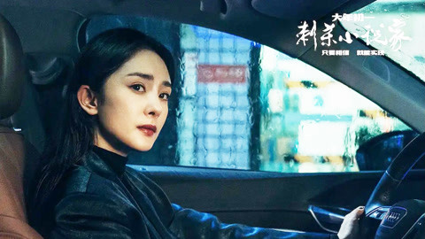 與敵同行 视频截图