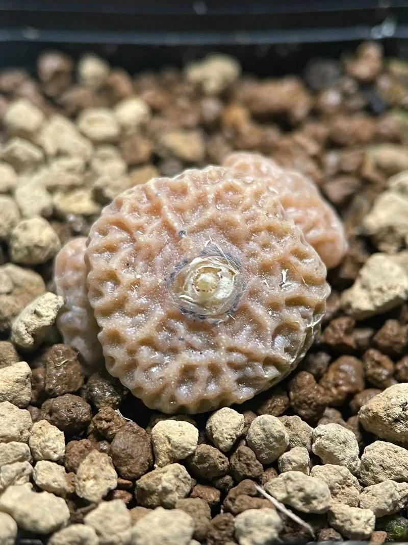 不要離開 视频截图