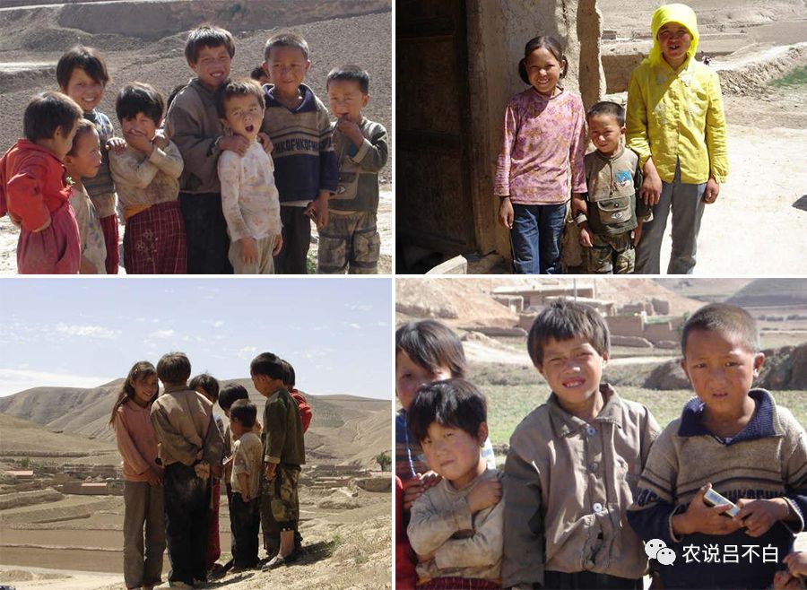 僵屍啟示錄：救贖 视频截图