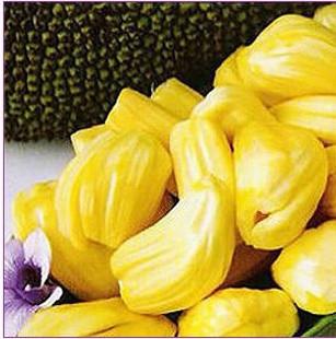 城南莊1948 视频截图