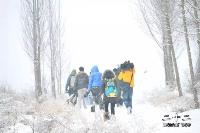 卡羅爾 产品图片