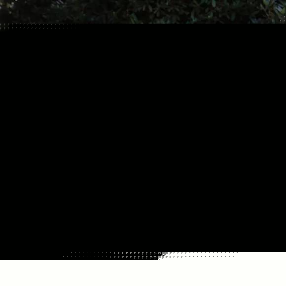 鳳凰街風雨 视频截图