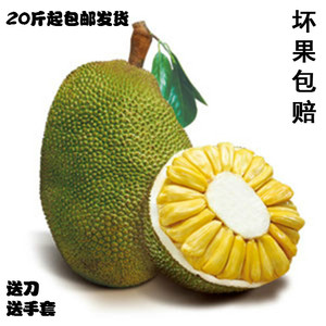 冒牌師生 产品图片