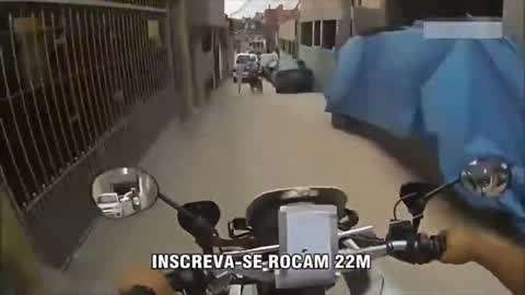 上古仙女秘聞 视频截图