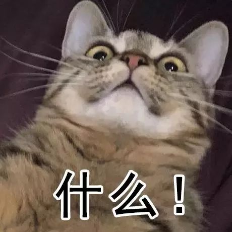 不死者之王 劇場版前篇 视频截图