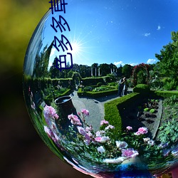 冷室裏有很多走廊 产品图片