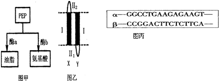 決戰刹馬鎮 视频截图