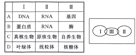 複仇者聯盟2：奧創紀元（原聲版） 视频截图