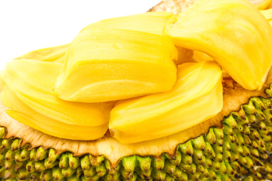 與你再遇鮮花盛開之丘 视频截图