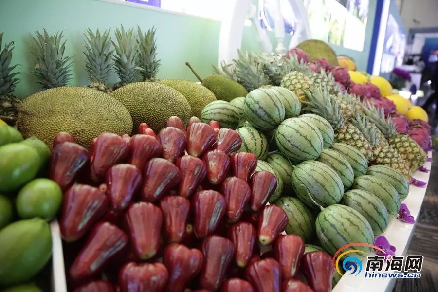 東北往事之人在江湖 视频截图