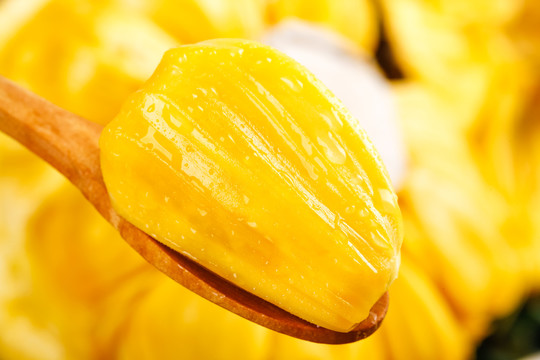 凱旋門 产品图片