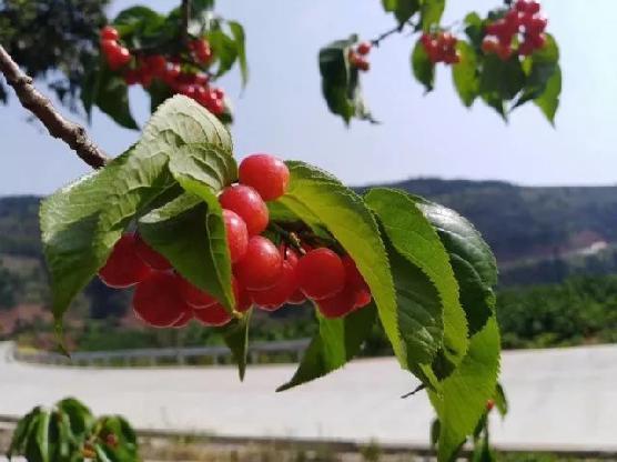 不羈夜2022 视频截图