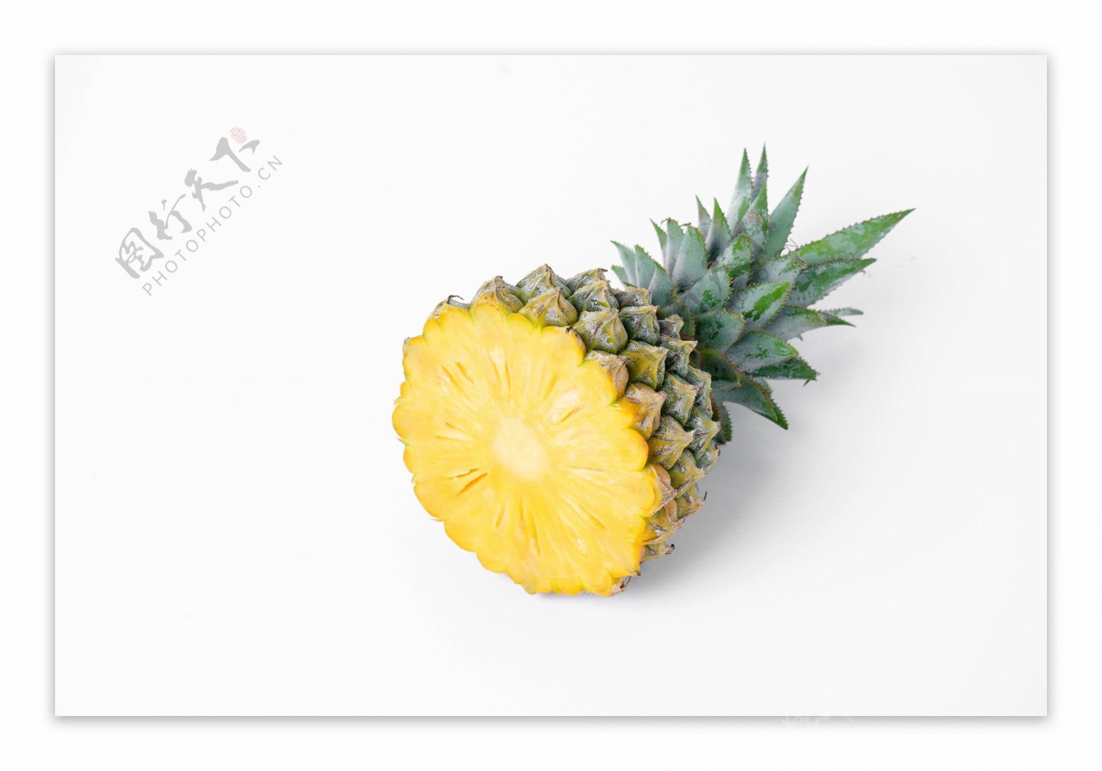 偷天陷阱 产品图片