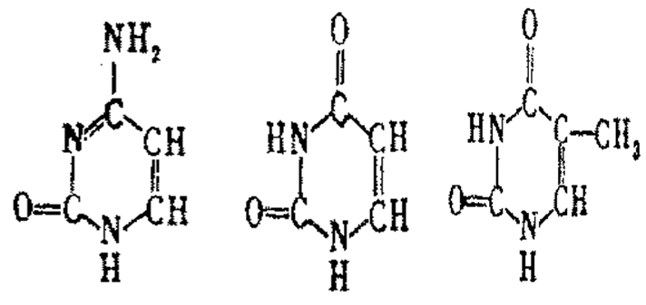 元帥之死 视频截图