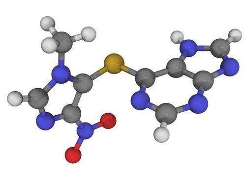 叢林2：世界之旅 视频截图