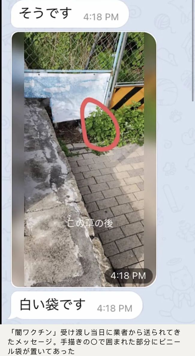 冰風暴 产品图片