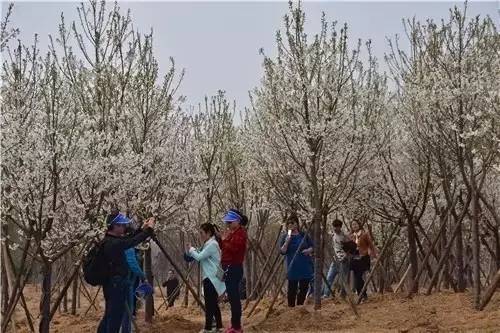 反恐特警組：潛龍突圍 视频截图