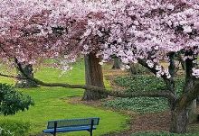 上海灘之猛龍闖金關 视频截图