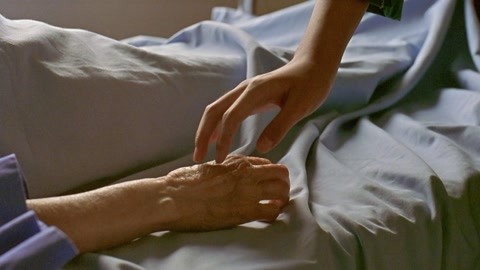 凹頭彈 产品图片