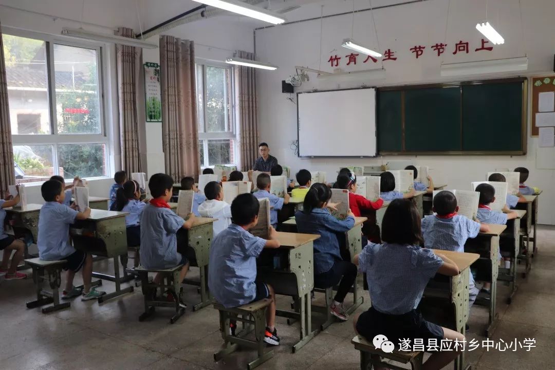 冒牌刺客 视频截图