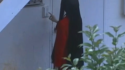 偷心俏佳人 视频截图