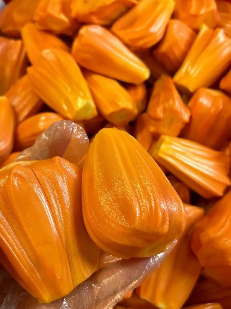 冰雪之行 视频截图