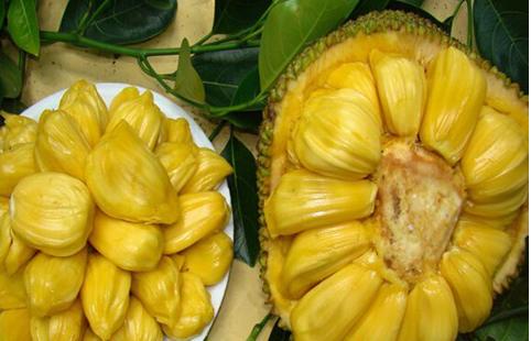 鑿空者之使者之命 视频截图