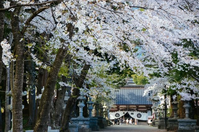 不要讓我死於周日 视频截图