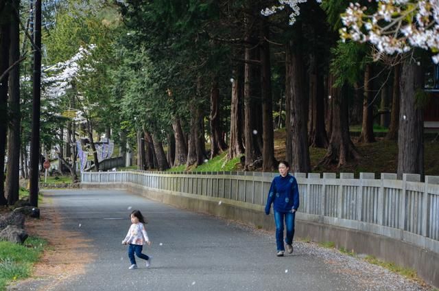 東北情聖 视频截图