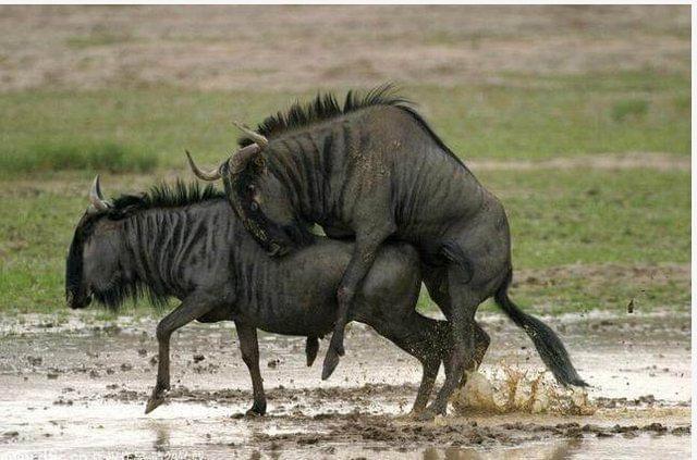 世界上最偉大的父親 视频截图