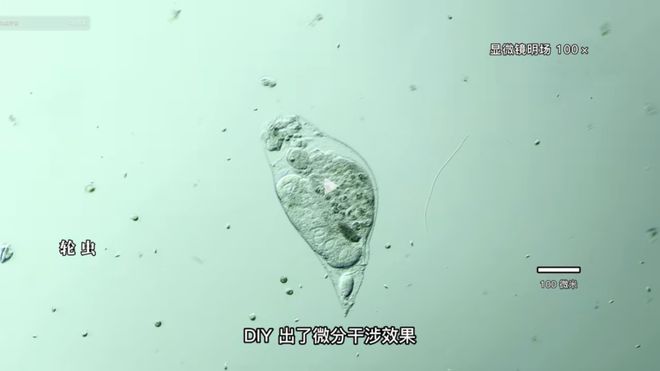 冰刀雙人組 视频截图