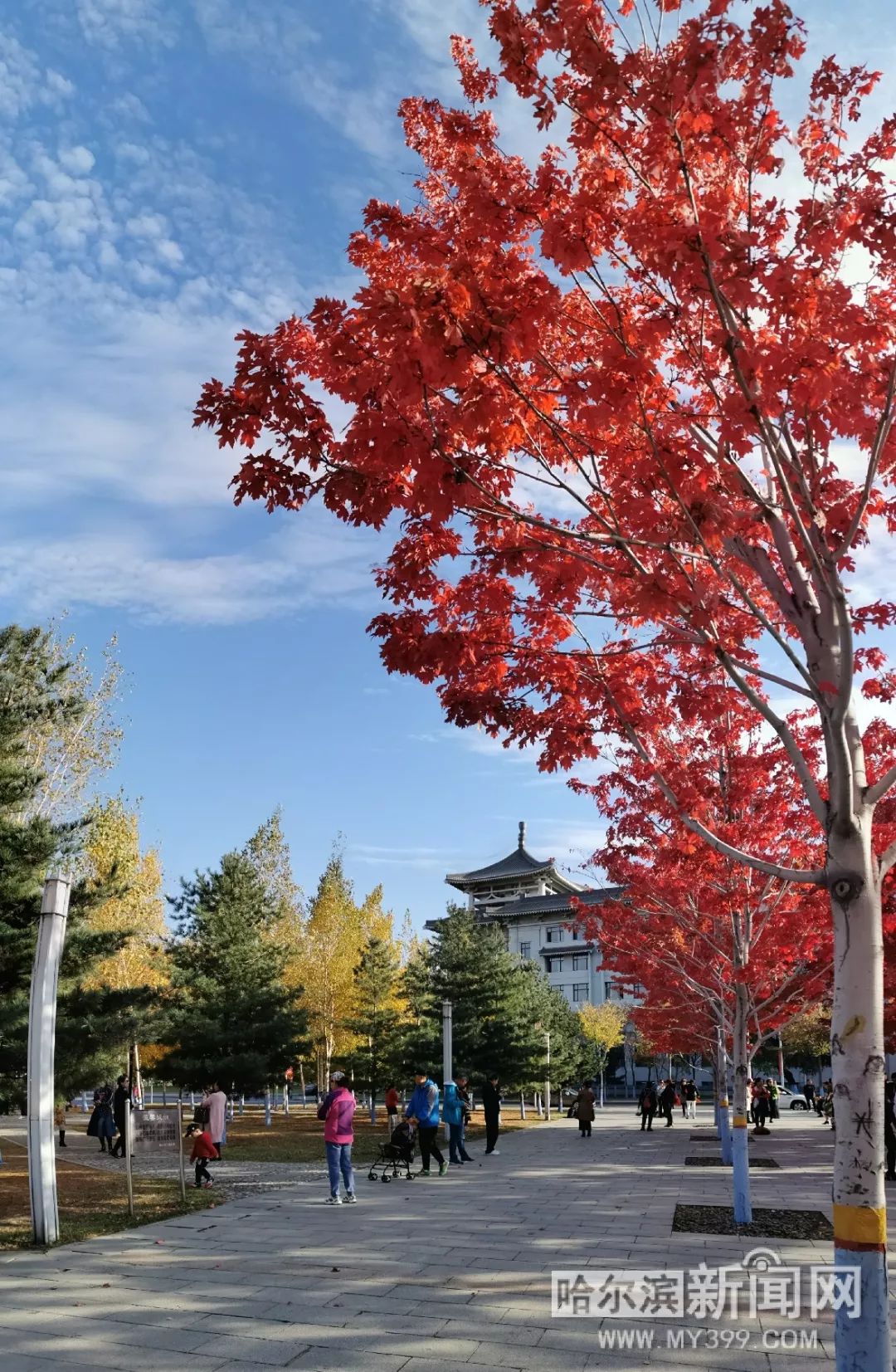 三個臭皮匠 视频截图