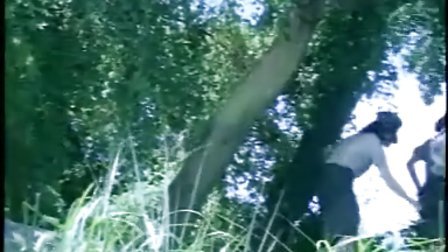 萬王之王 普通話版 视频截图