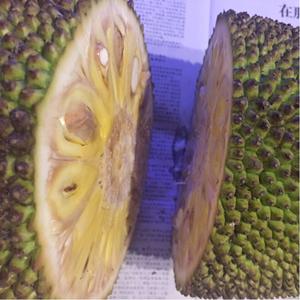 醜人兒 视频截图