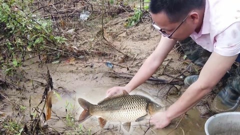 出嫁女 视频截图