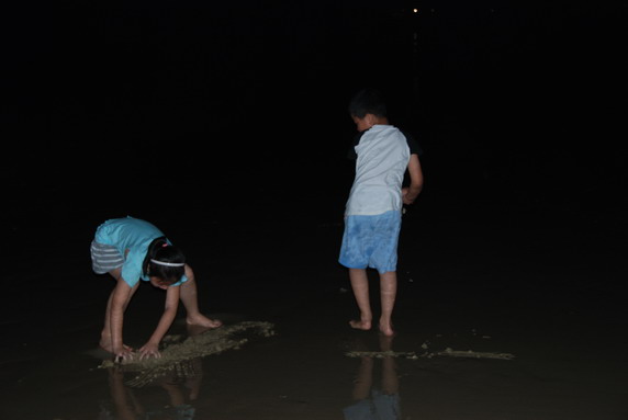 冰風暴 产品图片