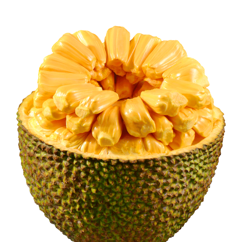 僵屍先生（粵語版） 视频截图