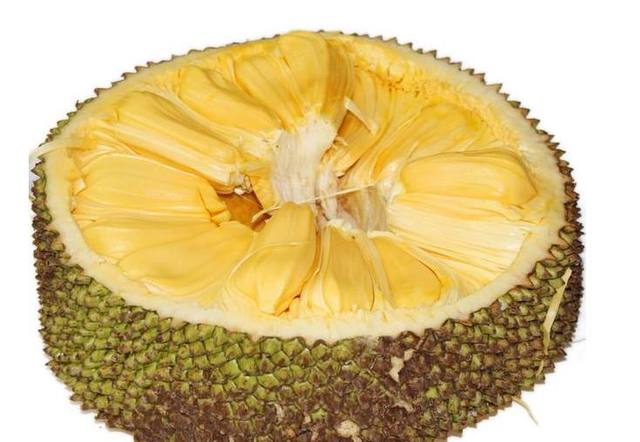 決鬥的人 视频截图